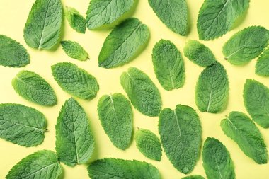 Sarı zemin üzerine nane yaprakları