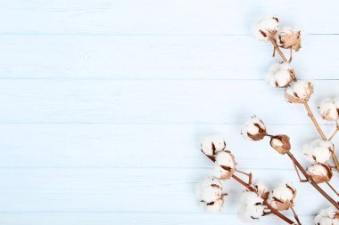Ahşap masa üzerinde pamuk çiçekli ağaç dalı