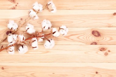 Kahverengi ahşap masada pamuk çiçekler ile ağaç şube