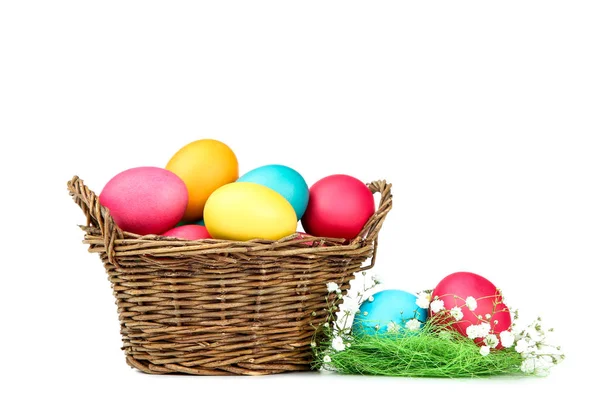 Easter eggs in basket with gypsophila flowers isolated on white — Stock Photo, Image