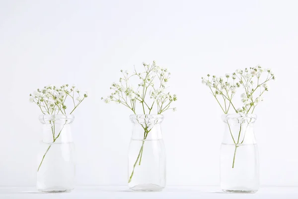 Białe kwiaty Gypsophila w szklanych butelkach na szarym tle — Zdjęcie stockowe