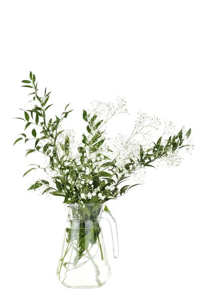 Квіти гіпсофіли і зелене листя в скляному глечику на білому фоні — стокове фото