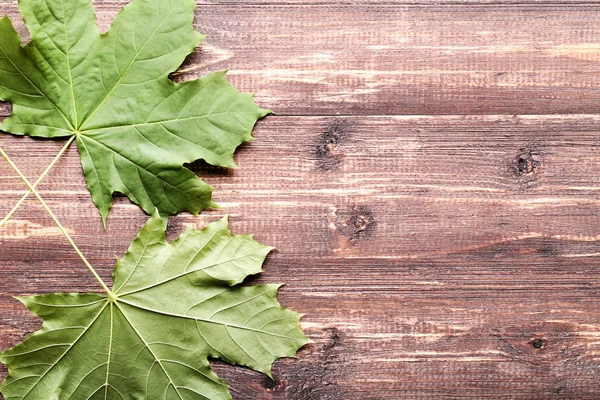 Kahverengi ahşap masa üzerinde yeşil akçaağaç yaprakları — Stok fotoğraf