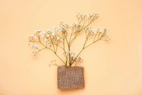 Vita Gypsophila blommor med säckväv på beige bakgrund — Stockfoto