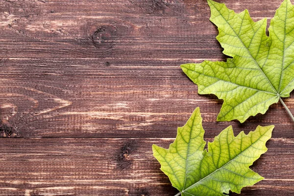 Zelené maple leafs hnědý dřevěný stůl — Stock fotografie