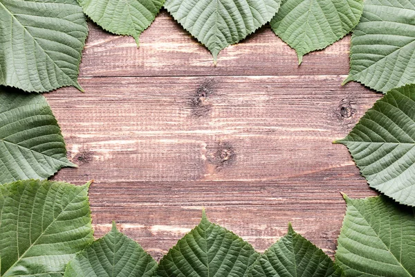 Zielony liści na brązowy drewniany stół — Zdjęcie stockowe
