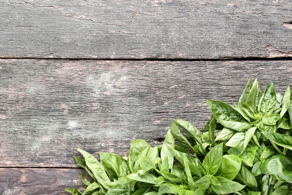 Grüne Basilikumblätter auf grauem Holztisch — Stockfoto