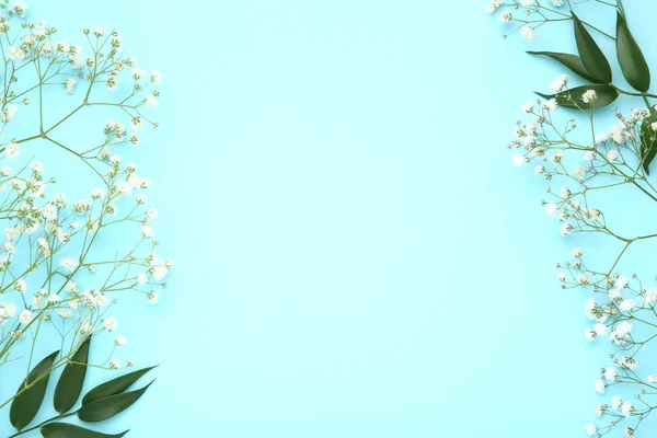 Flores de Gypsophila e folhas verdes sobre fundo azul — Fotografia de Stock