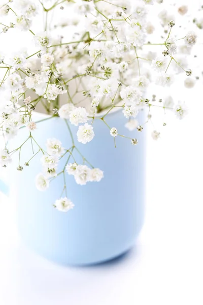 Gypsophila blommor i blå kopp på vit bakgrund — Stockfoto