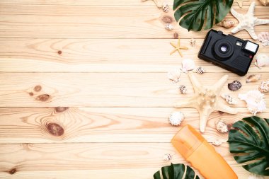 Farklı deniz kabuklarını yeşil yapraklar ve ahşap retro kamera 