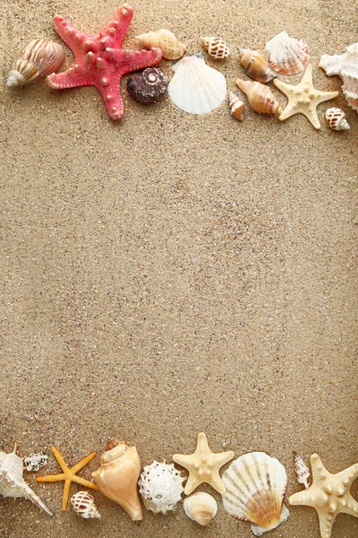 Conchiglie Stelle Marine Sulla Sabbia Della Spiaggia — Foto Stock