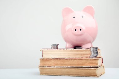 Gri arka plan üzerinde eski kitap ve sikke ile pembe kumbara