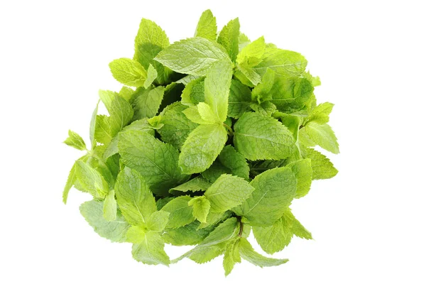 Daun mint terisolasi di latar belakang putih — Stok Foto