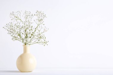 Gri arka planda vazo beyaz Gypsophila çiçekler