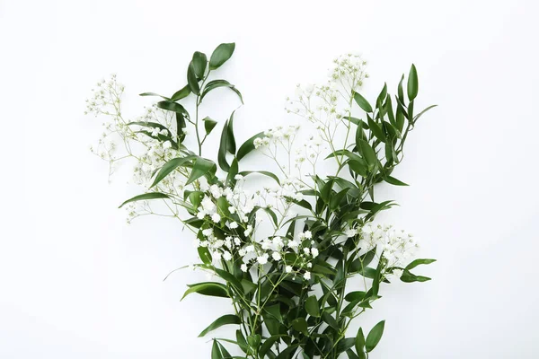 Gypsophila Blommor Och Gröna Blad Vit Bakgrund — Stockfoto