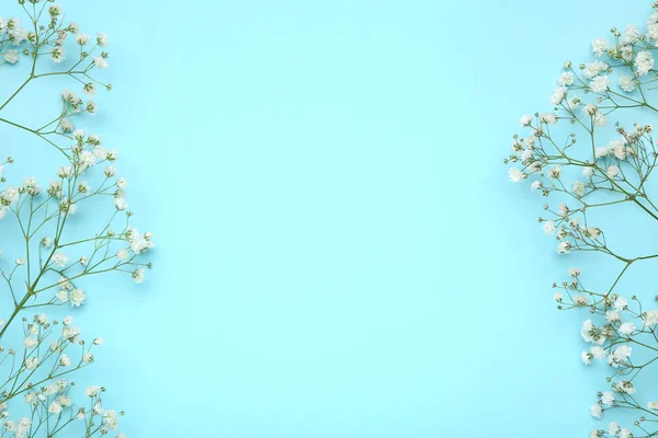 Λευκό Τσιγγάσικο Λουλούδια Μπλε Φόντο — Φωτογραφία Αρχείου