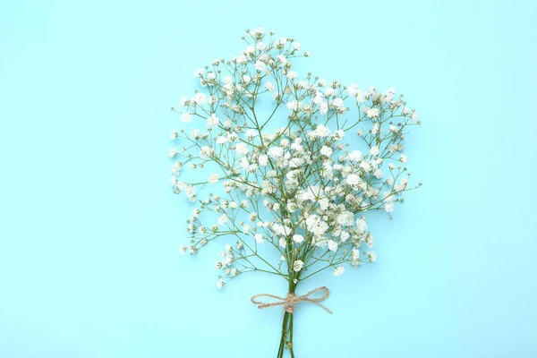 Flores Brancas Gypsophila Fundo Azul — Fotografia de Stock