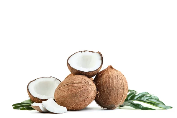 Noix de coco mûres aux feuilles de monstère isolées sur fond blanc — Photo