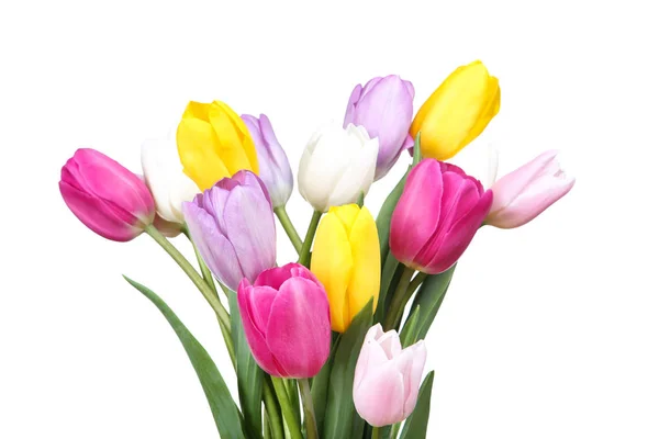 Bouquet de fleurs de tulipes sur fond blanc — Photo