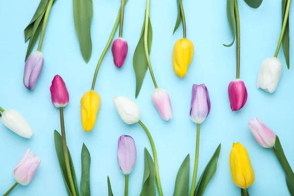 Ramo de flores de tulipán sobre fondo azul —  Fotos de Stock