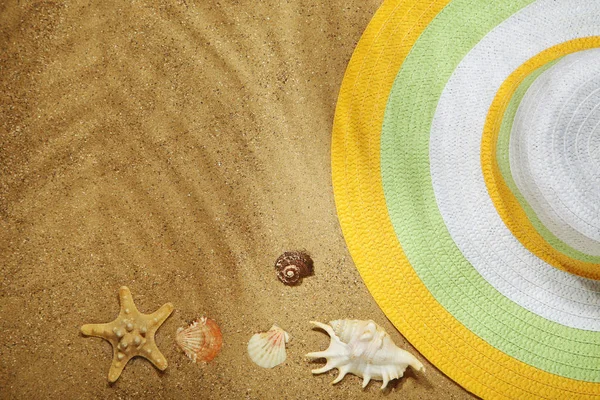 Conchas de mar con sombrero de playa en la arena — Foto de Stock