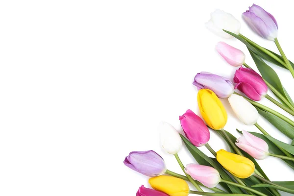 Bouquet of tulip flowers on white background — Stock Photo, Image