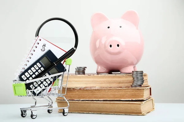 Piggy bank rosa com livros antigos e carrinho de compras em backgro cinza — Fotografia de Stock