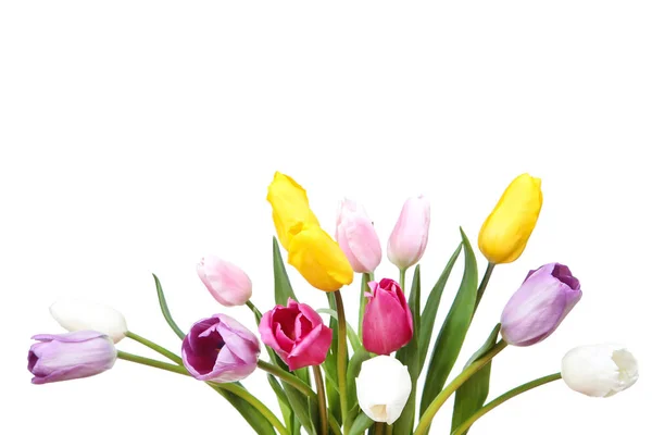 Ramo de flores de tulipán sobre fondo blanco —  Fotos de Stock