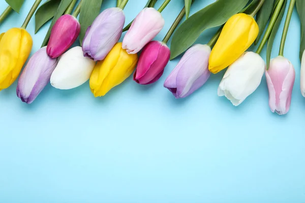 Ramo de flores de tulipán sobre fondo azul —  Fotos de Stock