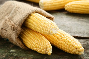 Gri ahşap masa üzerinde çuval bezi olgun mısır