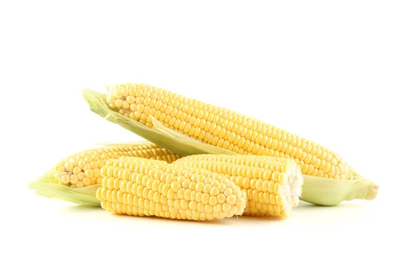 Ripe corn isolated on white background — Stock Photo, Image