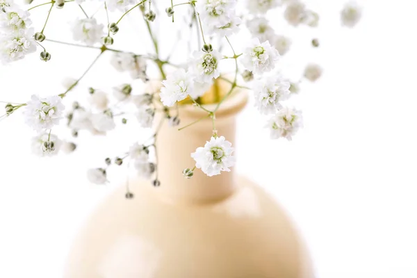 Gypsophila flores em vaso sobre fundo branco — Fotografia de Stock