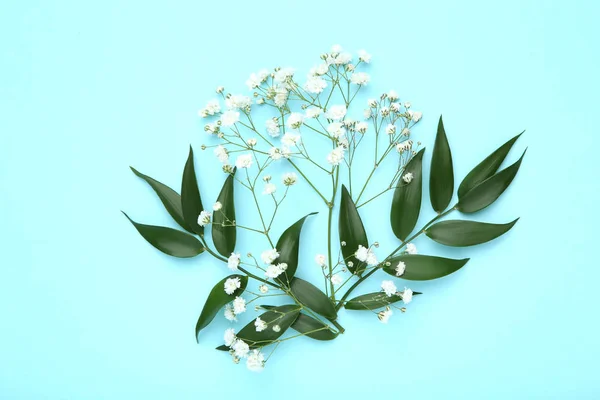 Gypsophila blommor och gröna blad på blå bakgrund — Stockfoto