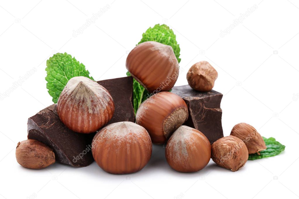 Hazelnuts with chocolate and mint leafs isolated on white backgr