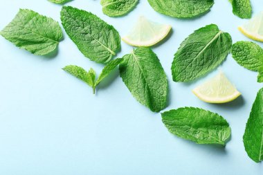 Mavi zemin üzerine limon dilimleri ile nane yaprakları