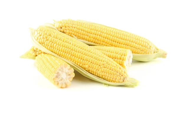 Ripe corn isolated on white background — Stock Photo, Image