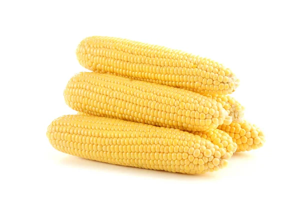 Érett kukorica elszigetelt fehér alapon — Stock Fotó