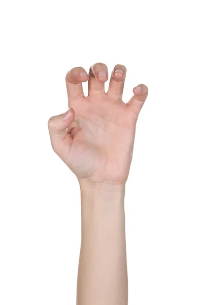 Wijfje hand geïsoleerd op witte achtergrond — Stockfoto