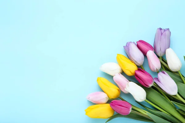 Ramo de flores de tulipán sobre fondo azul —  Fotos de Stock