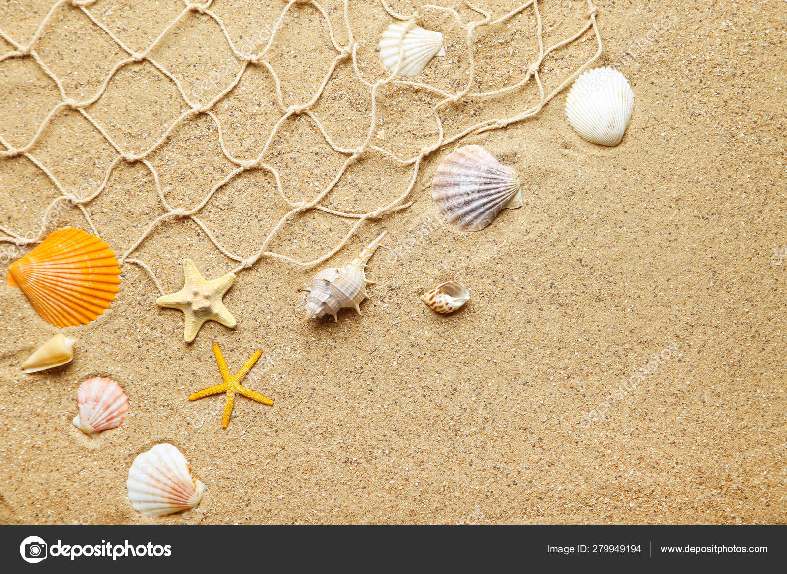 Seashells with fishing net on beach sand Stock Photo by ©5seconds 279949194