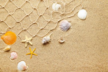 Plaj kumüzerinde balık ağı ile Seashells