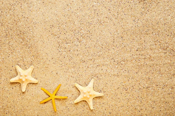 Starfishes on beach sand — Stock Photo, Image