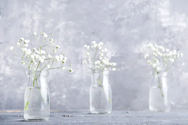 White gypsophila flowers in glass bottles on grey background — Stock Photo, Image