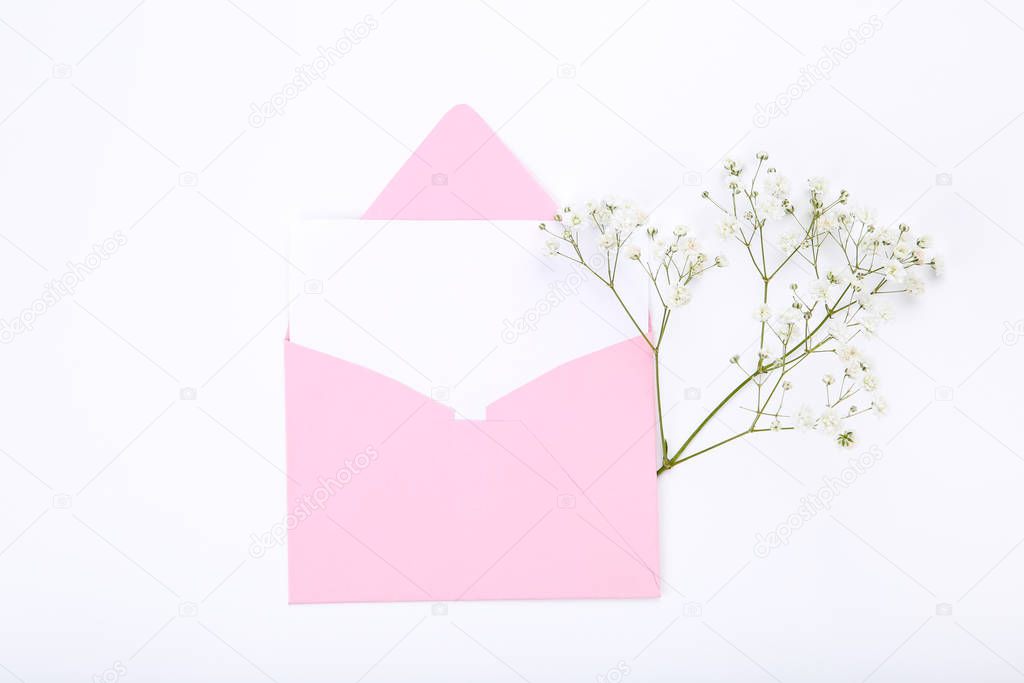 Gypsophila flowers with pink envelope on white background