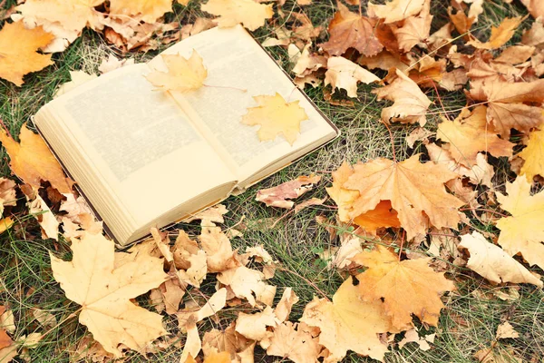 Άνοιξε το βιβλίο με ξηρό φθινόπωρο φύλλα — Φωτογραφία Αρχείου
