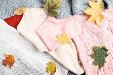 Sonbahar yapraklı örme kazak arka plan