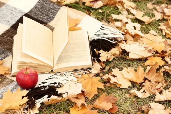 Otwarta książka na Plaid z czerwonym jabłkiem i suche jesienne liście — Zdjęcie stockowe