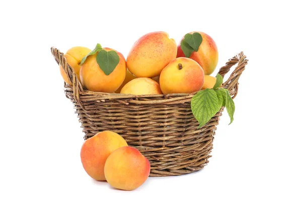 Sweet apricots in basket isolated on white background — Stock Photo, Image