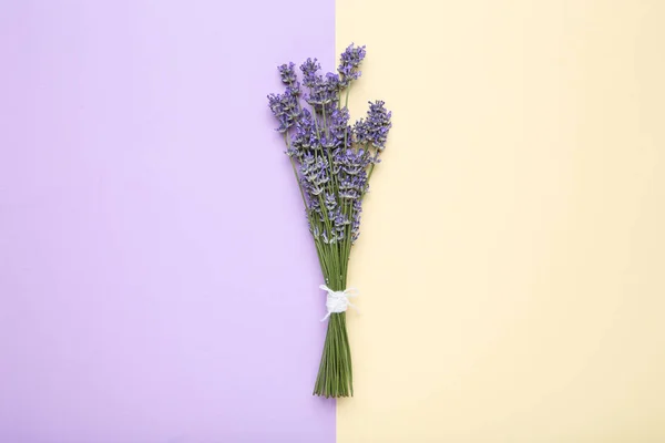 Lavender flowers on colorful background — Stock Photo, Image
