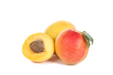 Beyaz arka planda izole tatlı kayısı